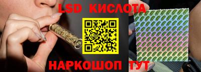 молекула духа Гатчина