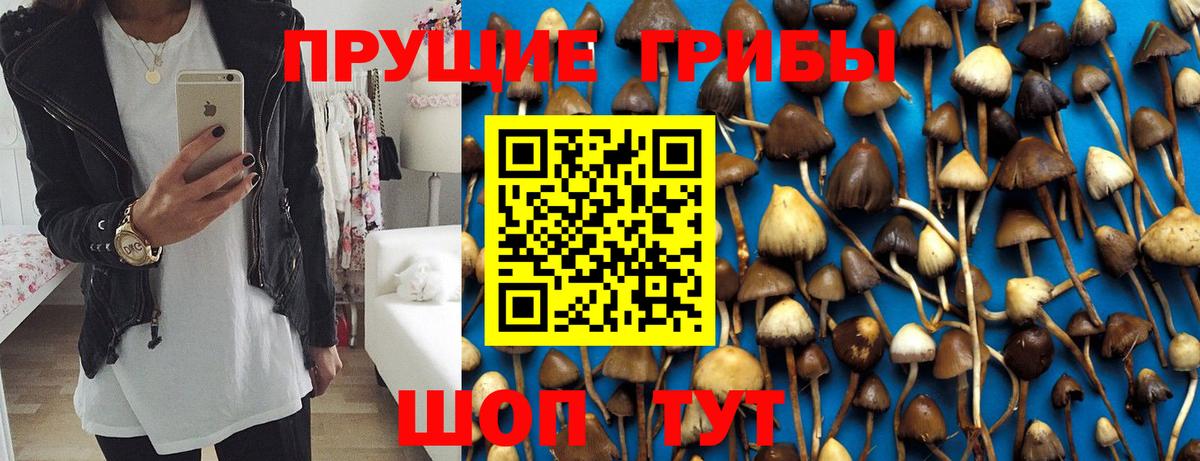 Галлюциногенные грибы мухоморы  Вход с VPN  Гулькевичи 