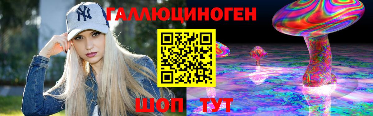 Псилоцибиновые грибы Psilocybe Гулькевичи